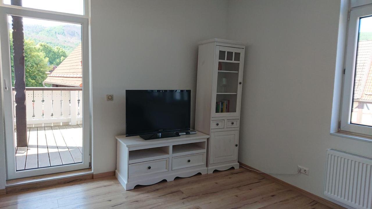 Ferienwohnung Zur Silbertanne Ilsenburg Exteriör bild